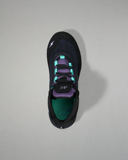 Rudis Hildebrandt - Metamorphosis